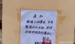 战犯牌位爆料视频播放网站,真相与争议并存